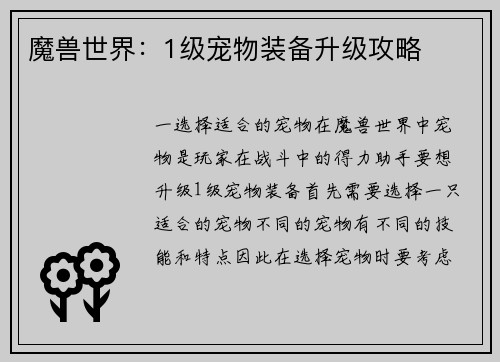 魔兽世界:1级宠物装备升级攻略
